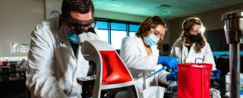 vivianjerotich.gnomio.com